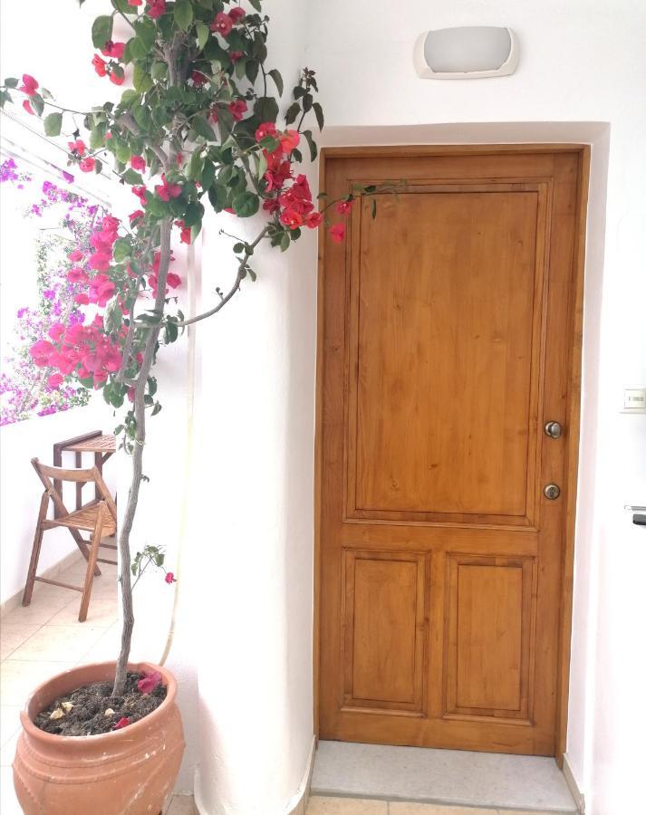 Casa Athena Naxos Apartment Naxos City ภายนอก รูปภาพ